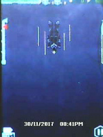 Verticus 1